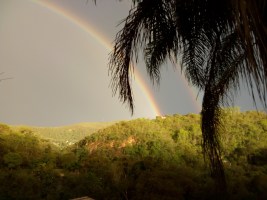 CHACATTIS TADADOTA IMG_20191123_175906587