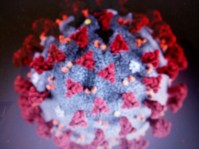 coronavírus IMG_20200420_152218238